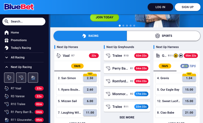 Bluebet
